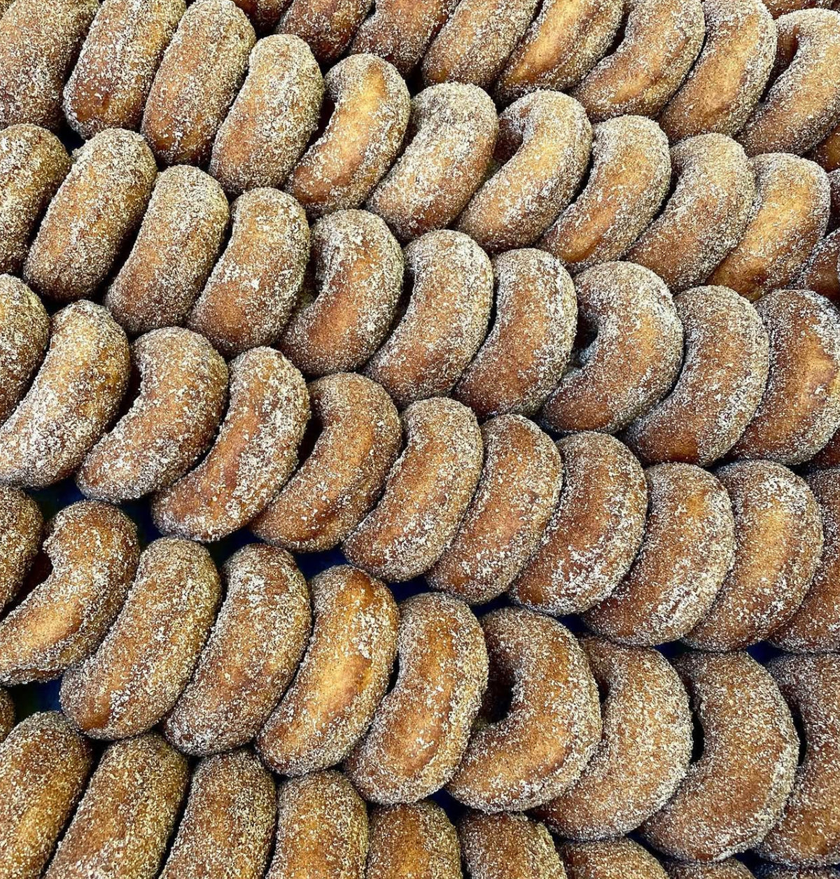 Doughnuts - Dozen